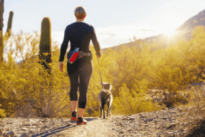 Person walking a dog along a quiet path in San Juan Capistrano